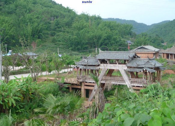 2012茶马古道普洱茶