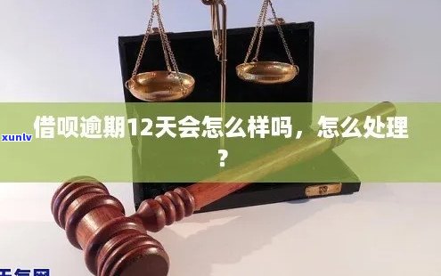 我逾期12天了怎么办