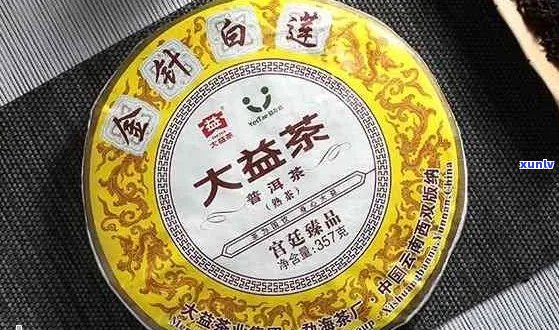 大益普洱茶和普洱茶哪个好