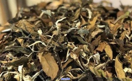 普洱茶白茶怎么区分