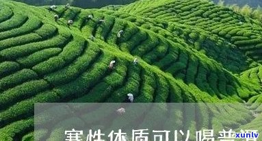 寒湿体质适合和普洱茶吗