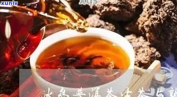 冰岛红是生茶还是熟茶