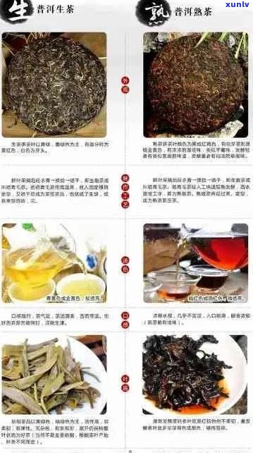 熟普洱茶的31种