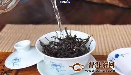 普洱茶怎么泡量多少合适