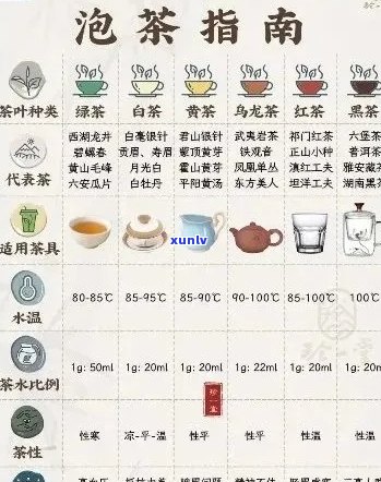 普洱茶怎么泡量多少合适