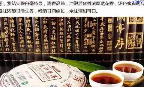 恩典高端普洱茶价格表