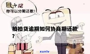 逾期5年如何协商免息