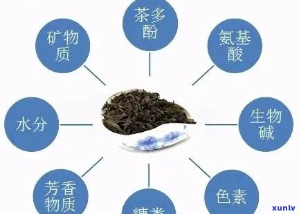 普洱茶含不含氟