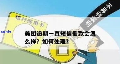 美团金融怎么处理催款短信问题