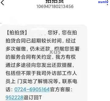 普洱茶品种详解：从入门级到高端口感，一网打尽好喝的普洱茶全解析