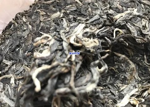 南糯山茶叶属于哪个茶