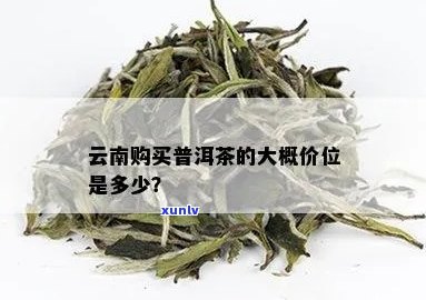 云南正宗普洱茶价格是多少一克