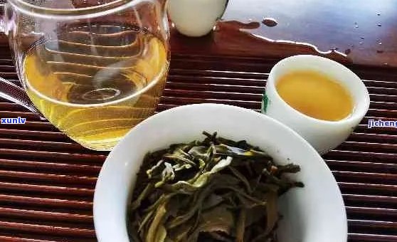 泡普洱茶哪种好喝点