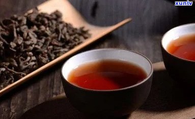 泡普洱茶哪种好喝点