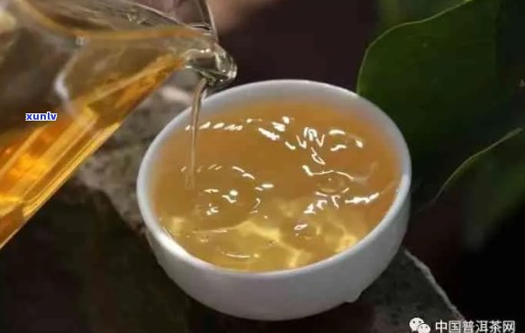 泡普洱茶哪种好喝点