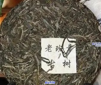 老班章普洱茶怎么样