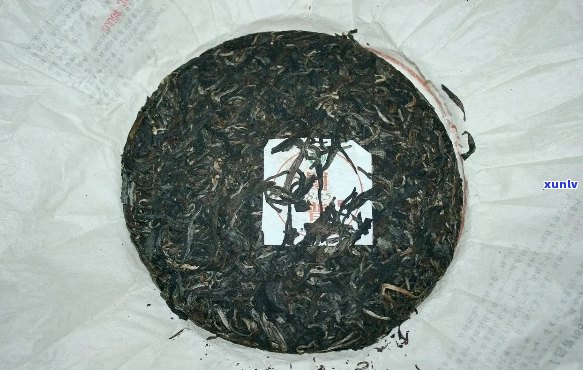 2008年猫国饮普洱茶