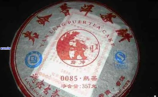 2008年猫国饮普洱茶