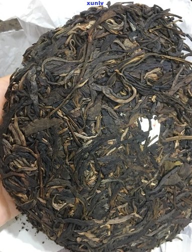 易武茶区小普洱茶