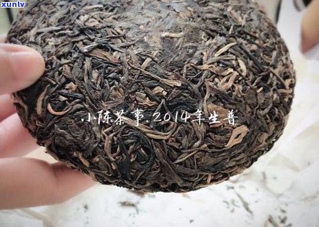 版纳明珠普洱茶