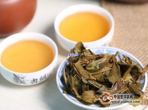 普洱茶苦涩太重能喝吗