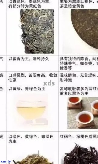 普洱茶口味与种类