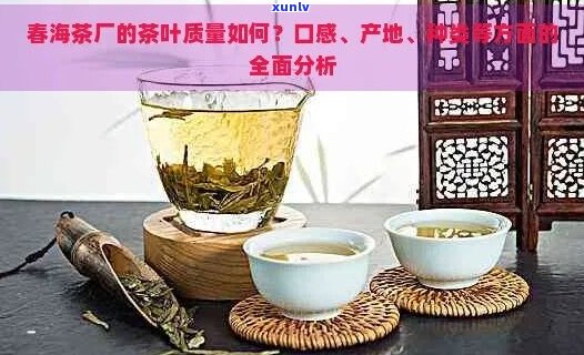 渤海之春茶叶价格及品质分析：如何选购和品鉴这款名茶？