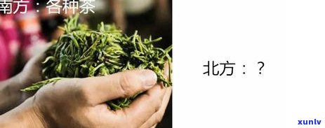 亮茶叶：名茶、茶圣的品味与传承