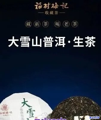 大益普洱茶批发价格：了解市场行情，寻找供应商和购买建议