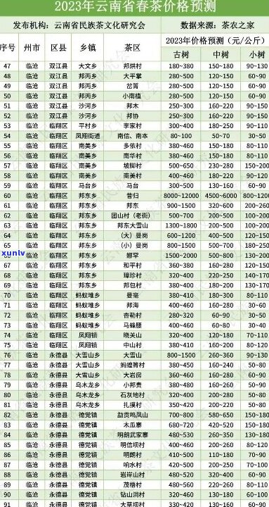 2005年至2023年易武普洱茶价格走势图与详细解析，了解市场行情与品质等级