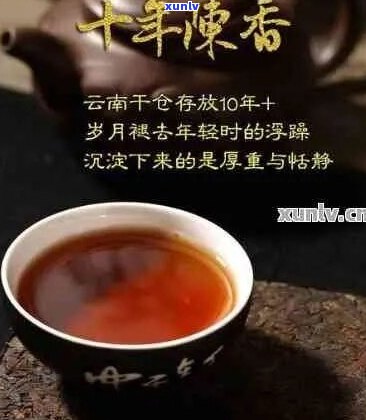 澜独家配方普洱茶：深入探索云南普洱茶的魅力与风味