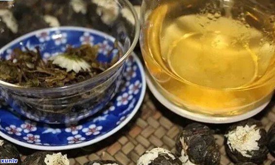 普洱茶与菊花一起泡可以吗？女性也可以饮用。