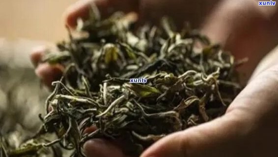 '茶叶保质期限及过期可用性探究：茶叶多长时间保质期啊？'