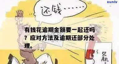 金钱花逾期了会怎么样-金钱花逾期了会怎么样吗