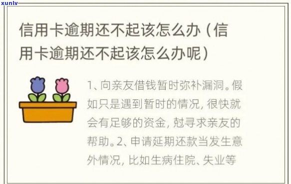 信用卡还不起没有逾期该怎么办-信用卡还不起没有逾期该怎么办呢