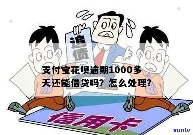 支付宝花呗逾期1000怎么处理-支付宝花呗逾期1000怎么处理的