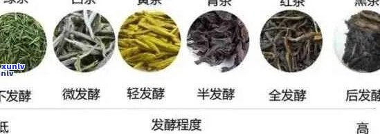 年份影响下的普洱生茶茶色深度探究