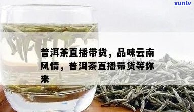 云南普洱茶在线购物平台：品质茶叶直供，一键选购，全球配送