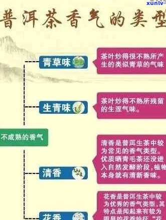 普洱茶的香气特征及其品鉴 *** ：如何分辨不同香气和口感