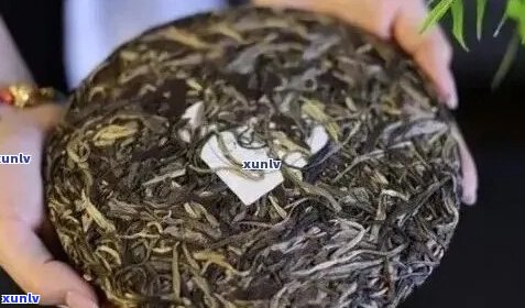 班章普洱茶：品种特点、品质鉴别与泡法详解，一篇全面指南！