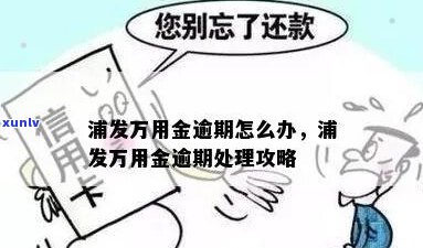 浦发万用金逾期应该怎么办-浦发万用金逾期应该怎么办呢