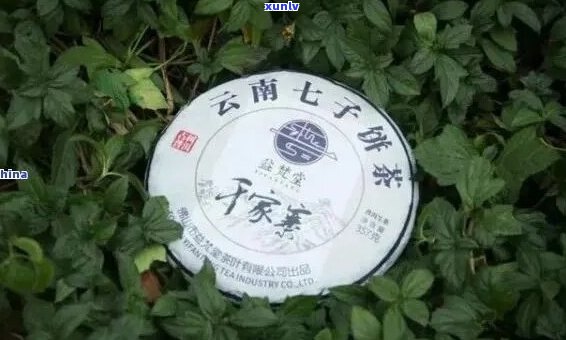 下关普洱茶：标杆产品详细介绍与购买指南，解答用户所有疑问