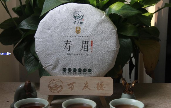 一片叶子的茶是什么茶类？