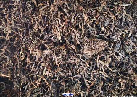 8年后的普洱茶是否仍可享用？解析保存和陈化过程对茶叶品质的影响