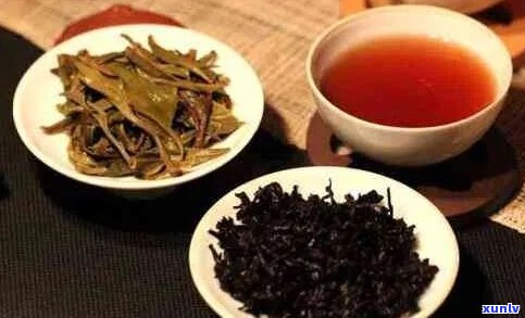 普洱茶中的文人是什么：探究普洱茶背后的文化意蕴