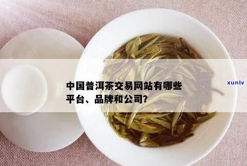 中国普洱茶交易平台哪个好：优质平台推荐与使用体验分享