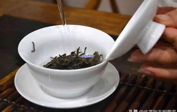 普洱茶泡法：如何泡出更好喝的普洱茶