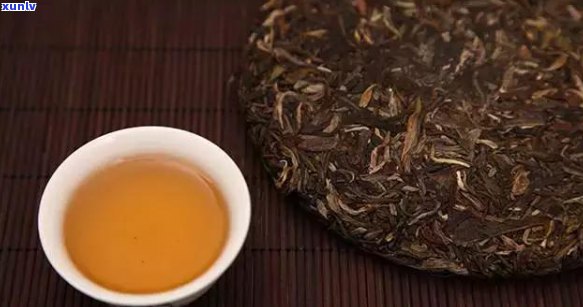 普洱茶泡法全解析：如何才能泡出喝的普洱茶？