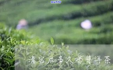 清宫之后可以喝茶叶茶吗？