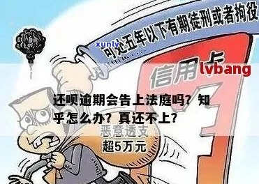 省呗不还会告法院吗-省呗不还会告法院吗最新